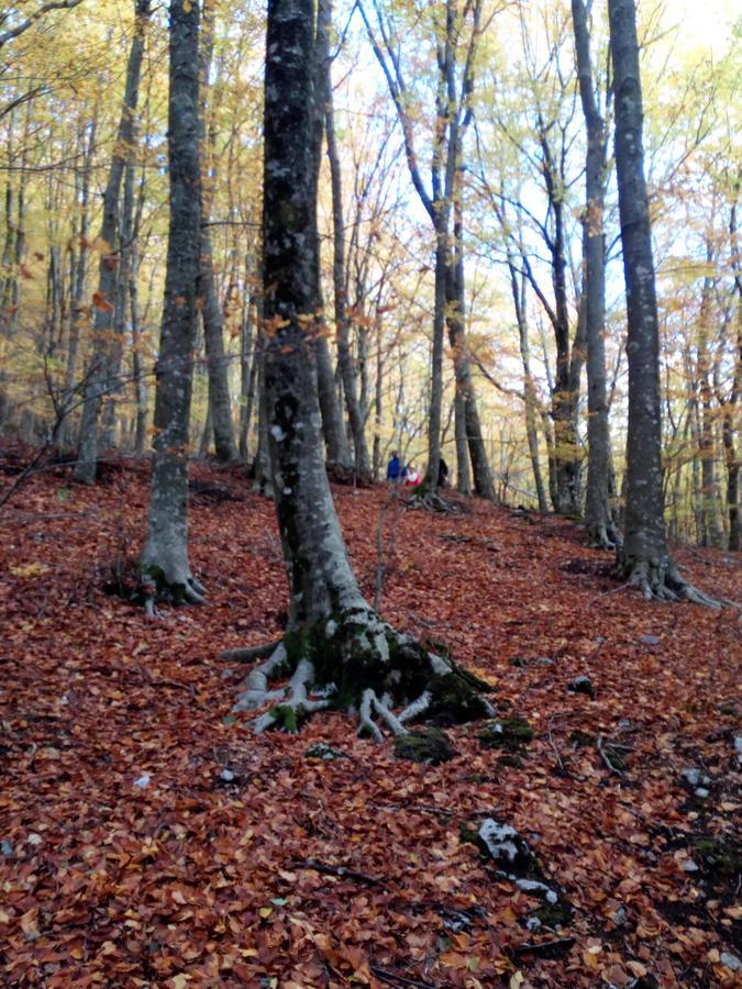 Al Castagno Bed and Breakfast Vico Equense Esterno foto