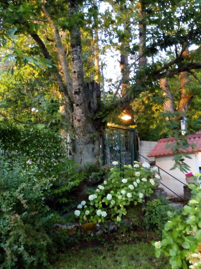 Al Castagno Bed and Breakfast Vico Equense Esterno foto